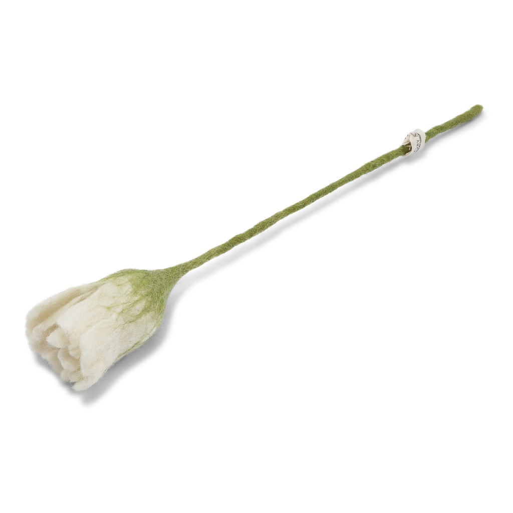 [SKU_GS11913] Bloem Tulp - G&S (Wit)